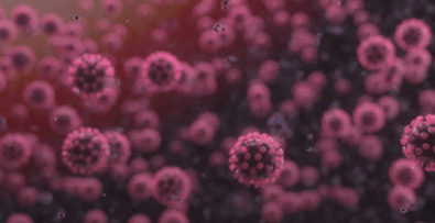 Screen Shot 2020-03-13 at 2.03.14 PM