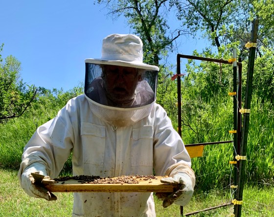 Beekeeper John Martin of Stonebridge Farm